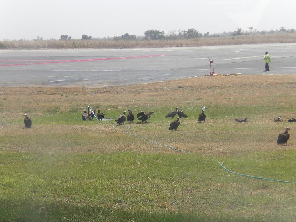 Banjul International Airport terminal view
