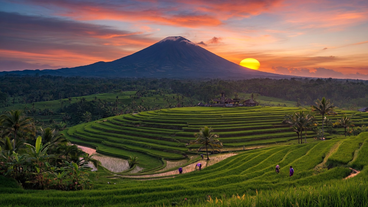 Bali tropical paradise aerial view